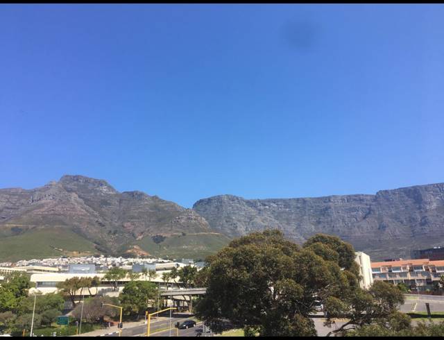 2 BEDROOM APARTMENT RENTED IN ZONNEBLOEM